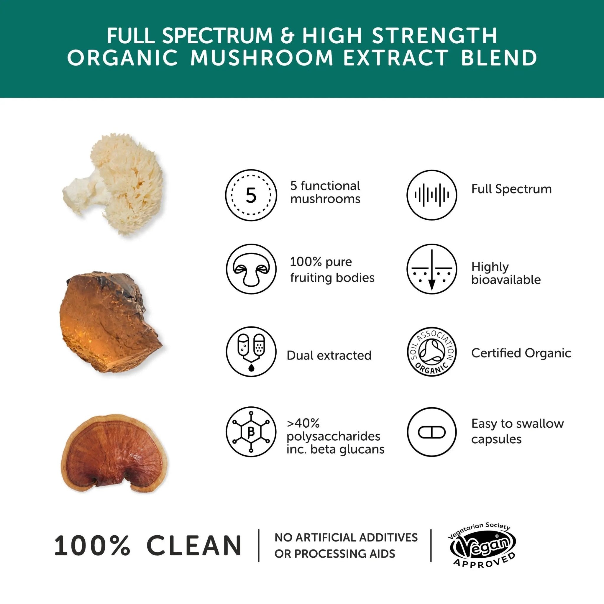 Mushroom 5 Blend - Supplenaut