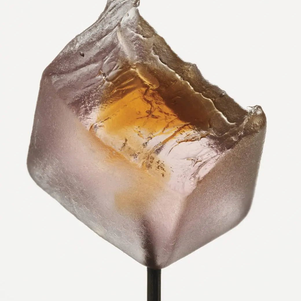 Mushroom Gummy Delights - Supplenaut