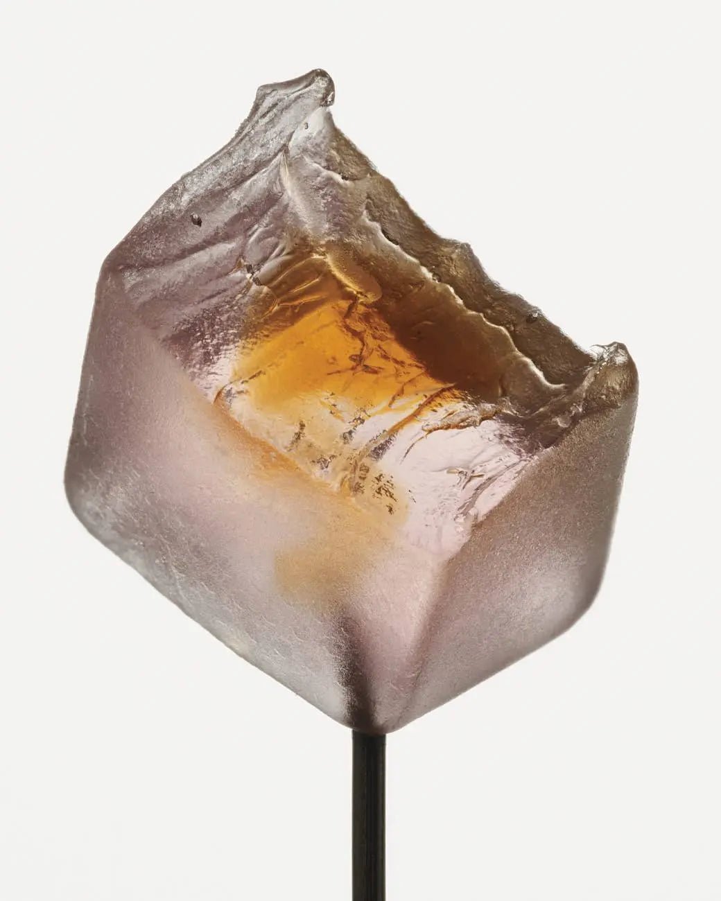 Mushroom Gummy Delights - Supplenaut