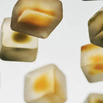 Mushroom Gummy Delights - Supplenaut
