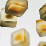 Mushroom Gummy Delights - Supplenaut