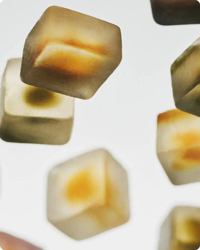 Mushroom Gummy Delights - Supplenaut
