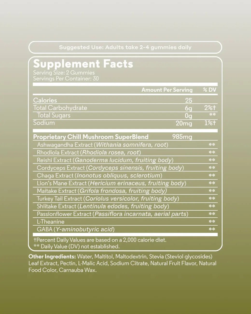 Mushroom Gummy Delights - Supplenaut