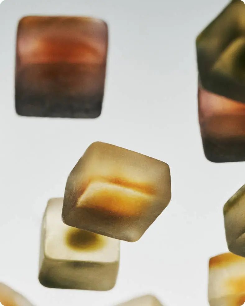 Mushroom Gummy Delights - Supplenaut
