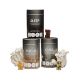 NOON Bundle: Complete Daily Performance System - Supplenaut